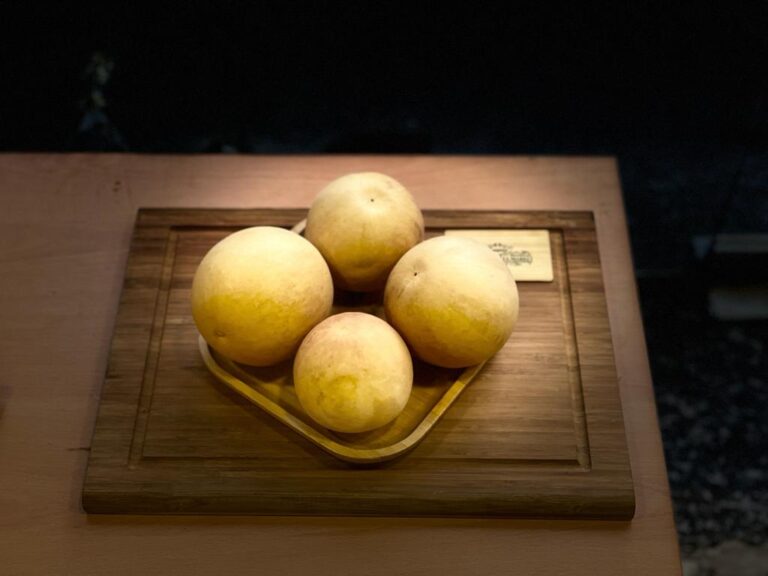 Bitter Apple – حنظل