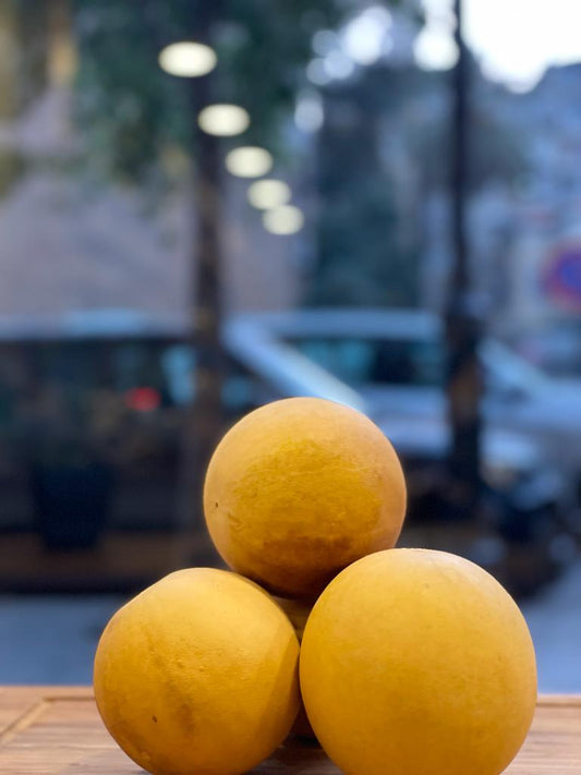 Bitter Apple – حنظل