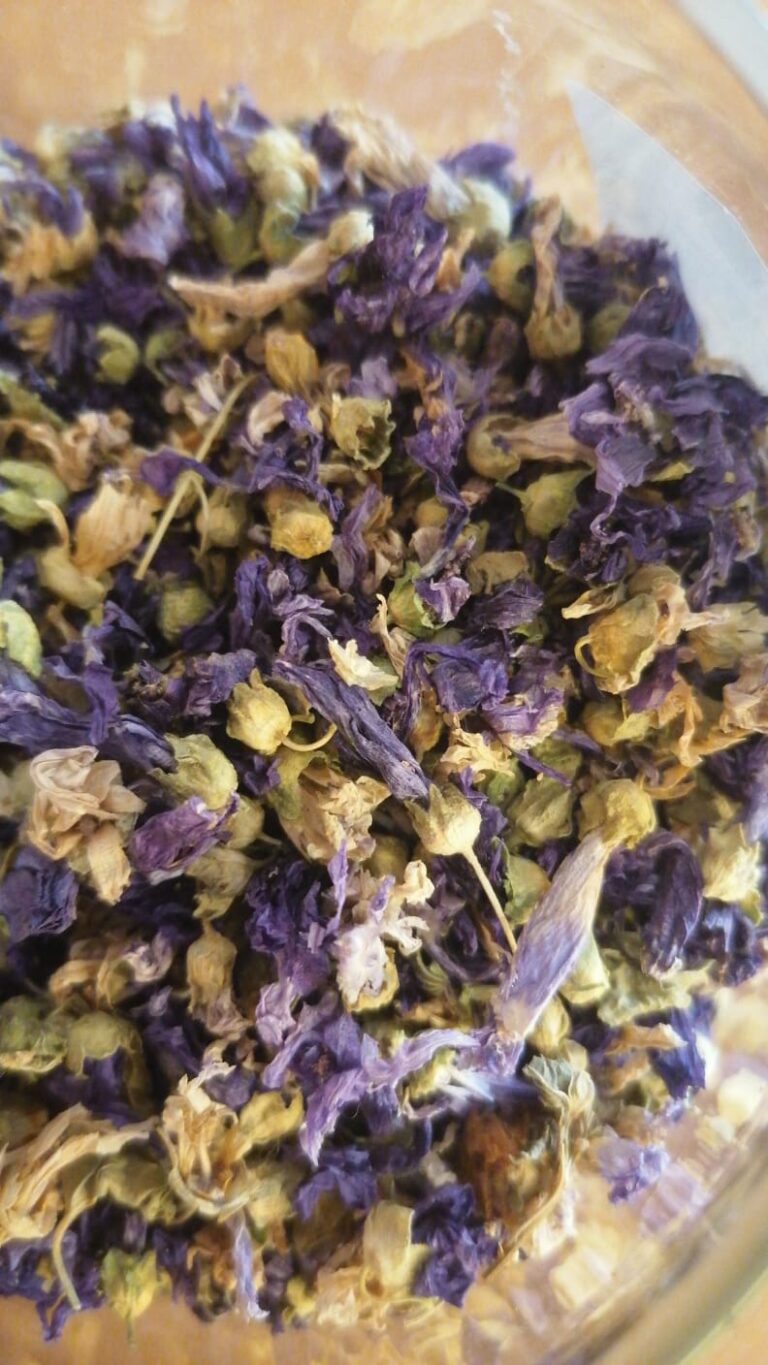Blue Violets – البنفسج الأزرق