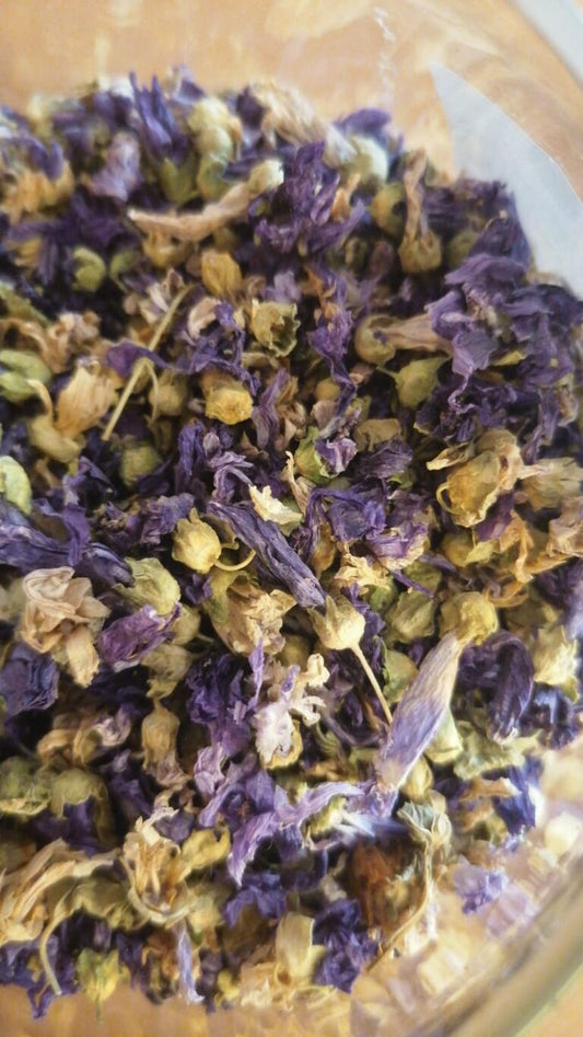 Blue Violets – البنفسج الأزرق