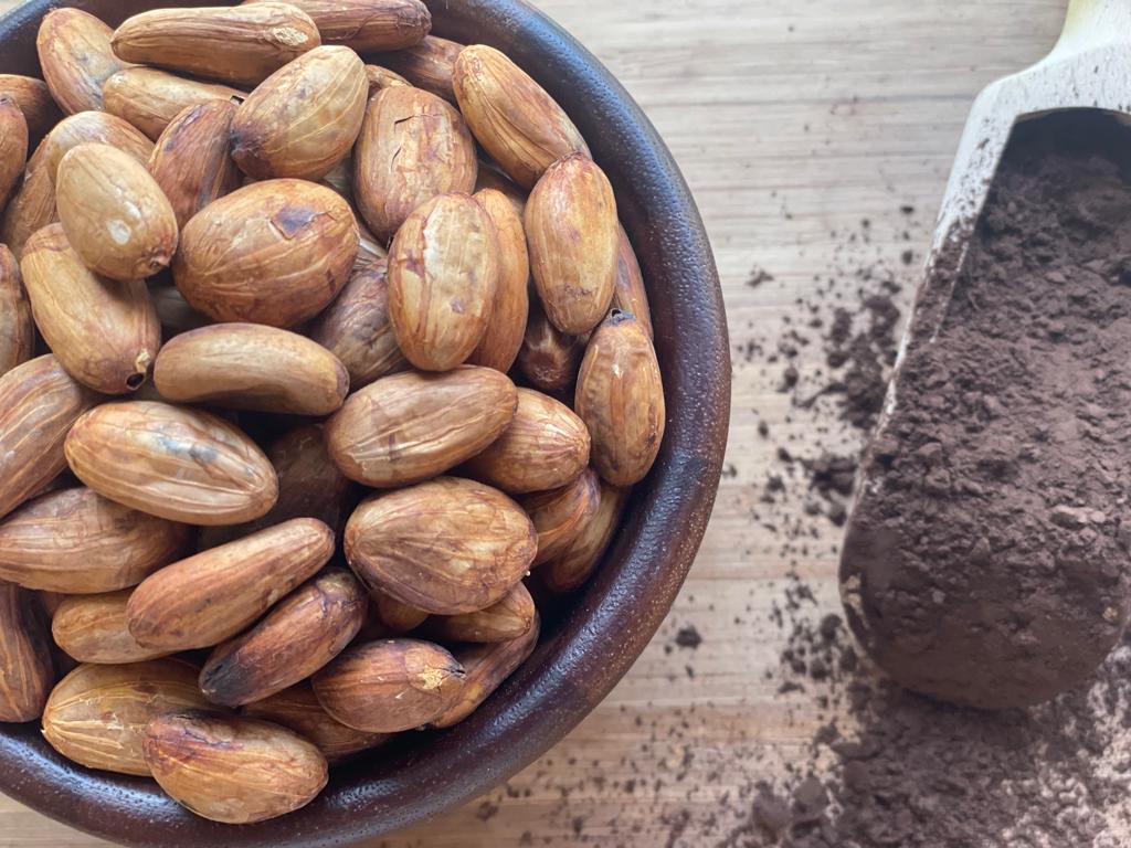 Cocoa Beans, Organic – حبوب الكاكاو، منتج عضوي