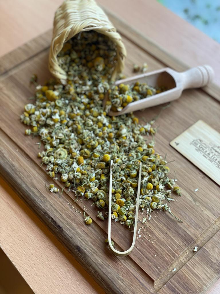 Chamomile – بابونج