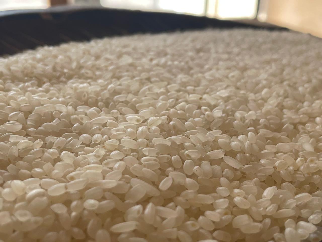 Egyptian Rice – رز مصري