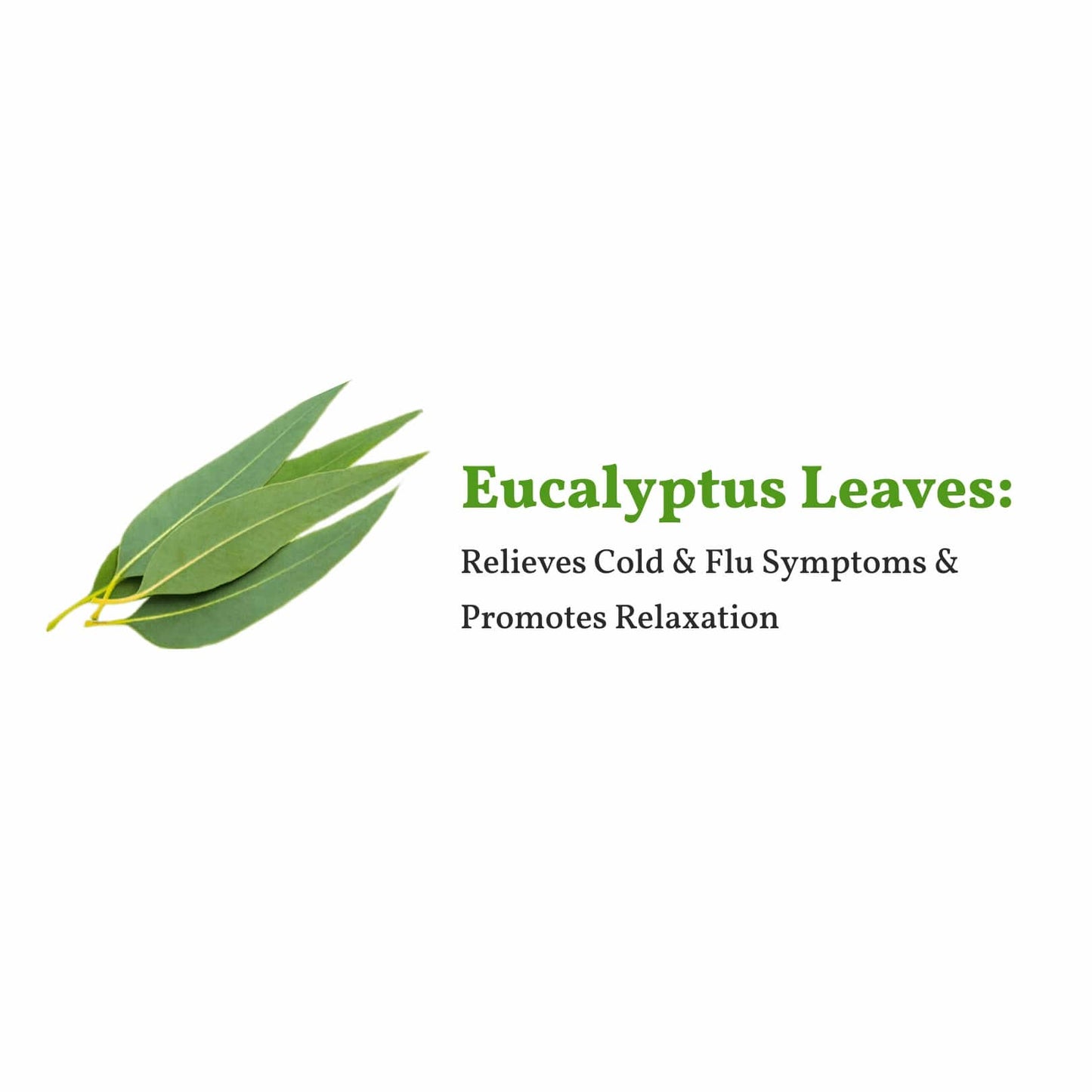 Lemon Eucalyptus White Tea – شاي أبيض بالكينا الليموني