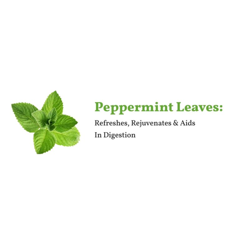 Moroccan Mint Green Tea – شاي أخضر مع النعناع المغربي