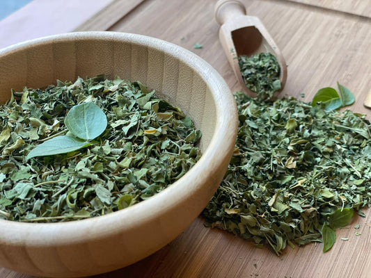 Moringa – مورينغا