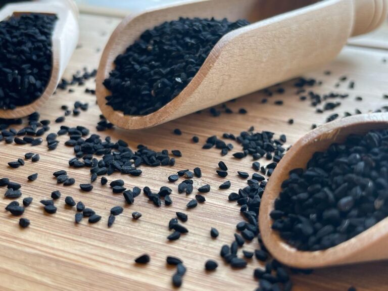 Nigella Seeds – حبة البركة