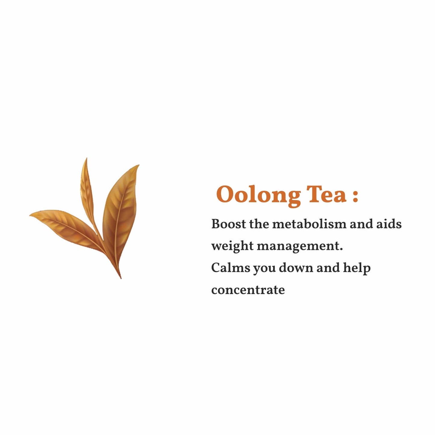 Rose Oolong Tea – شاي اوولونغ مع الورد الدمشقي
