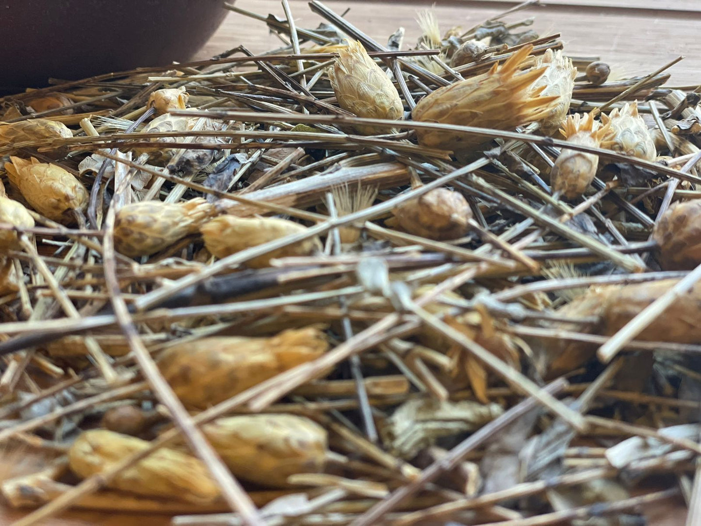 St. John’s Wort – عشبة القديسين
