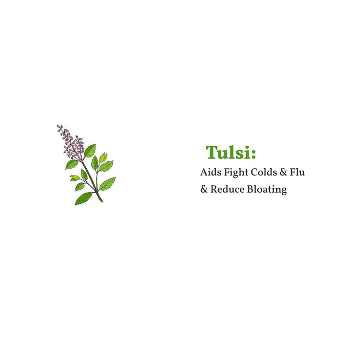 Tulsi Green Tea – شاي أخضر بالريحان