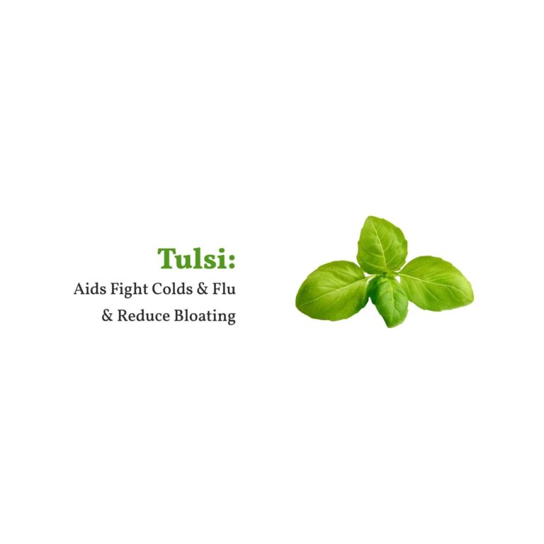 Tulsi White Tea – شاي أبيض بالحبق