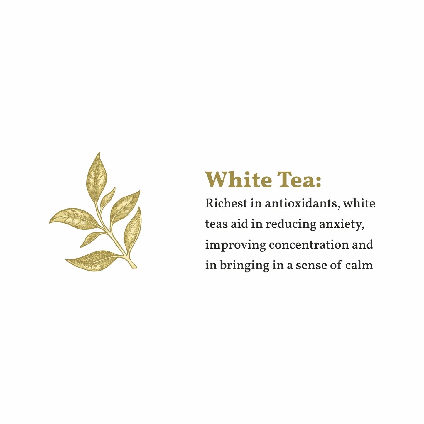 White Blossom White Tea – شاي الزهرة البيضاء