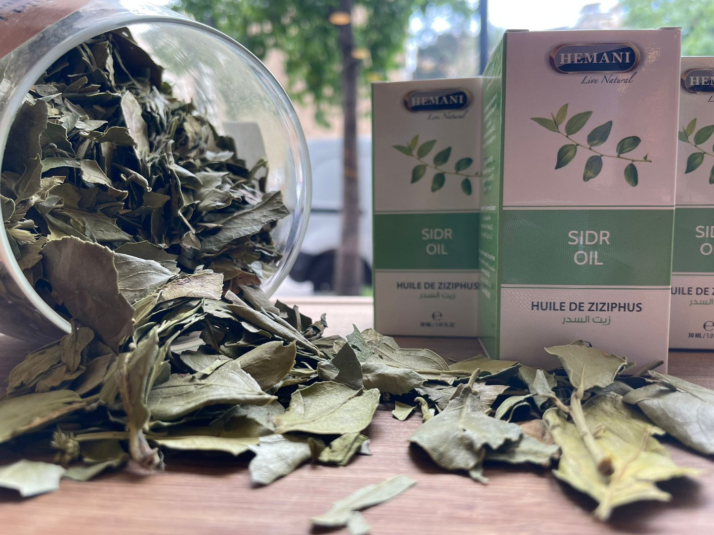 Sidr (Wild Jujube) Essential Oil – زيت ورق السدر