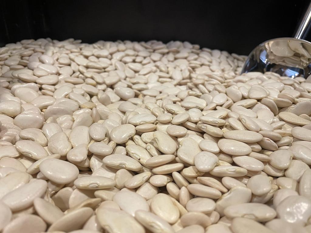 Butter Beans, Local – فاصوليا عريضة بلدية