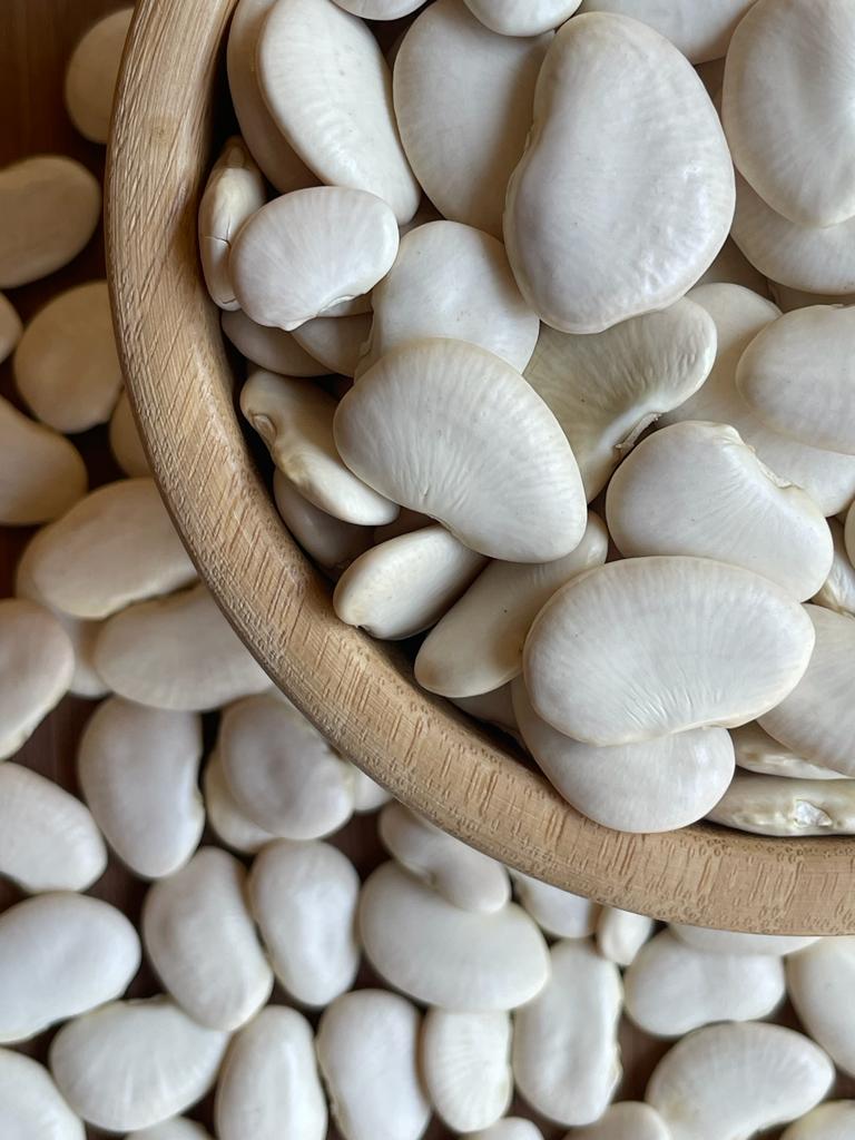Butter Beans, Local – فاصوليا عريضة بلدية