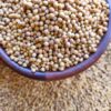 Coriander Seeds – كزبرة حب