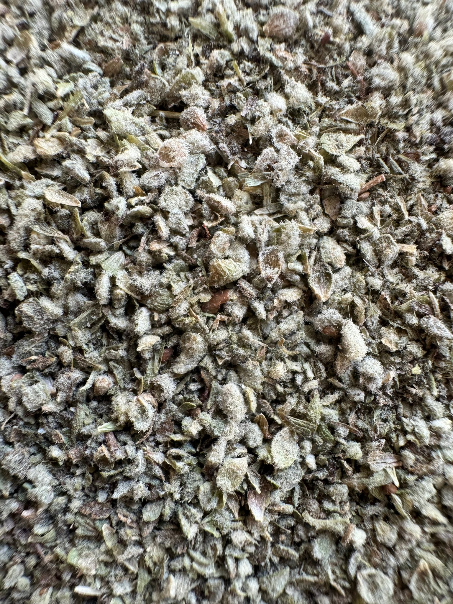 Thyme, Dried Flower