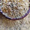 Fennel, Whole – شومر حب
