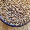 Fenugreek, Whole – حلبة حب
