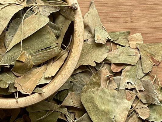 Ginkgo Biloba – جينكو