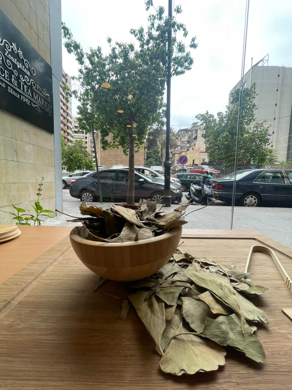 Ginkgo Biloba – جينكو