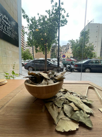 Ginkgo Biloba – جينكو