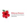 Hibiscus Herbal Tea – شاي أعشاب الكركديه