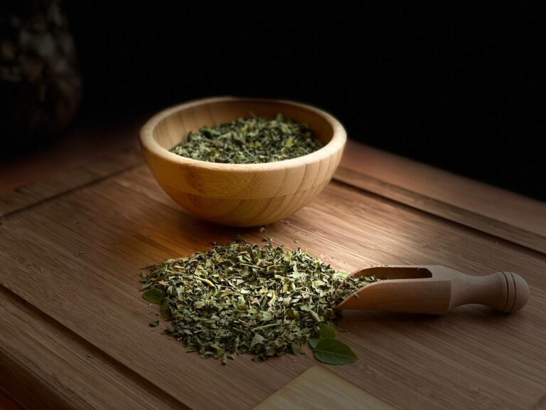 Moringa – مورينغا