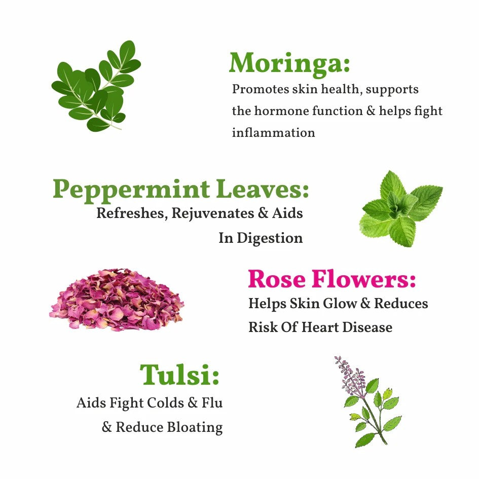 Moringa and Tulsi Herbal Tea – شاي المورينغا و الحبق العشبي