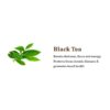 Rare Darjeeling Tea (Spring Season – First Flush) – شاي دارجيلنغ النادر (موسم الربيع – القطف الأول)