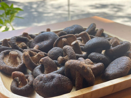 Shiitake Mushroom – فطر شيتاكي