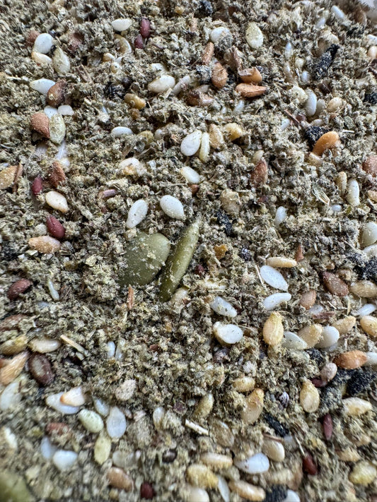 Thyme, Seven Seeds Mix