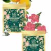 Wellness Collection Tea Sampler Box – علبة عينات الشاي من مجموعة العافية