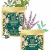 Wellness Collection Tea Sampler Box – علبة عينات الشاي من مجموعة العافية