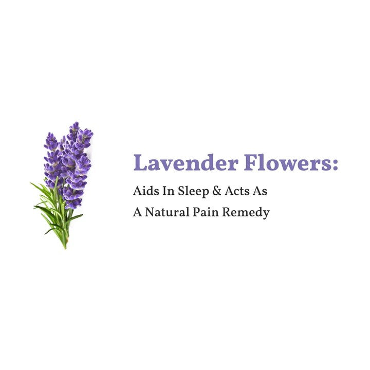 Lavender White Tea – شاي أبيض مع اللافندر